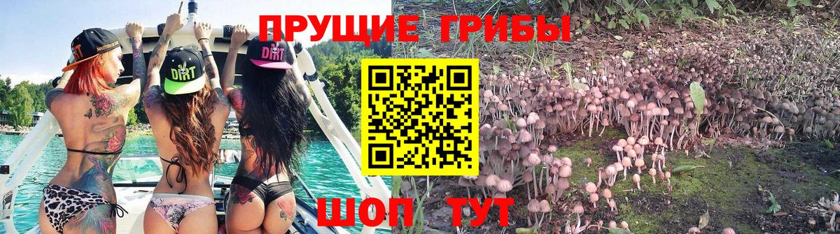 Галлюциногенные грибы мухоморы Первоуральск