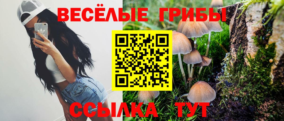 Псилоцибиновые грибы Psilocybe  Псилоцибиновые грибы Cubensis  Первоуральск  Вход с VPN 
